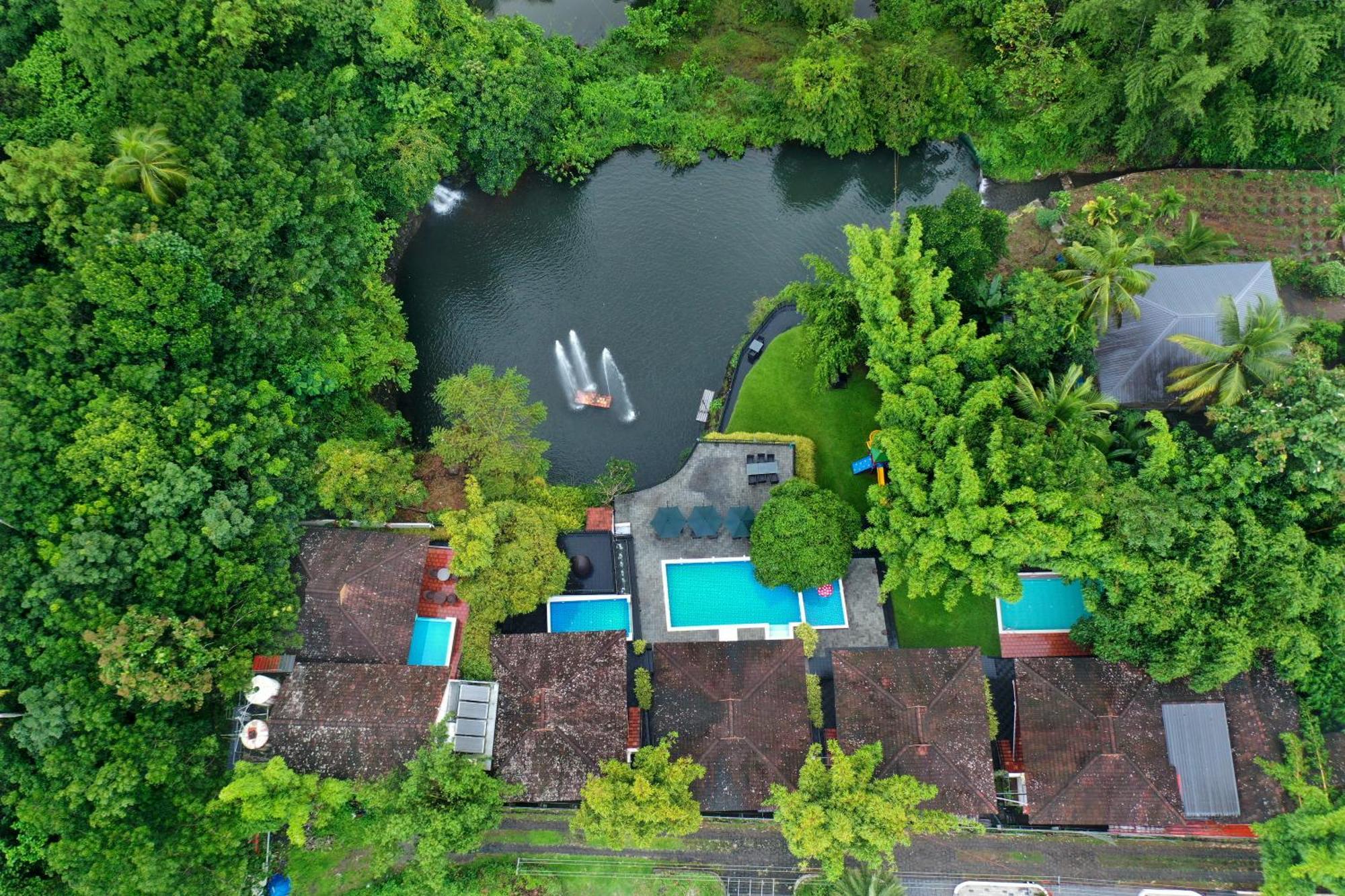 Athirapally Green Trees Athirappilly Esterno foto